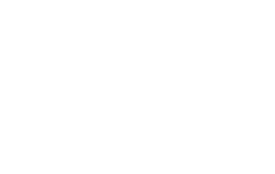 NEXGENESYS